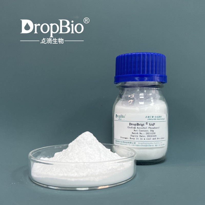 DropBrigt ™ SAP